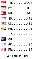 visitors by country counter