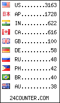 visitors by country counter