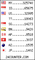 visitors by country counter