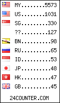 visitors by country counter