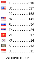 visitors by country counter