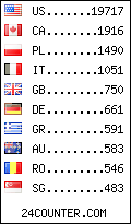 visitors by country counter