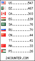 visitors by country counter