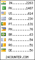 visitors by country counter