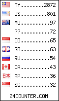 visitors by country counter