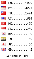 visitors by country counter