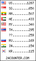 visitors by country counter