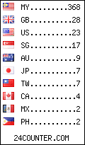 visitors by country counter