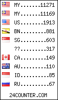 visitors by country counter