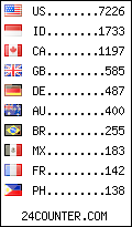 visitors by country counter