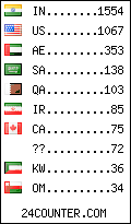 visitors by country counter