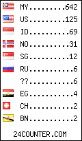 visitors by country counter