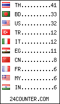 visitors by country counter