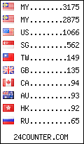 visitors by country counter