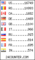 visitors by country counter