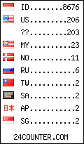 visitors by country counter