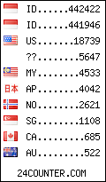 visitors by country counter