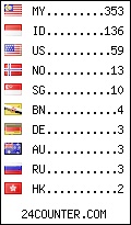 visitors by country counter