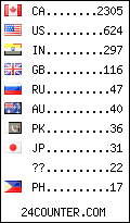 visitors by country counter