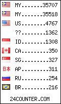 visitors by country counter