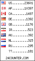 visitors by country counter