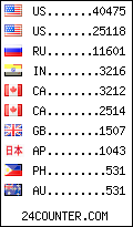 visitors by country counter