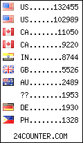 visitors by country counter