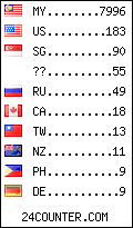 visitors by country counter
