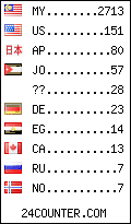 visitors by country counter