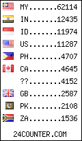 visitors by country counter