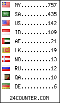 visitors by country counter