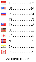visitors by country counter