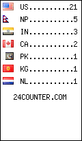 visitors by country counter