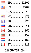 visitors by country counter