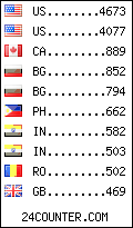 visitors by country counter