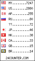 visitors by country counter