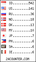 visitors by country counter
