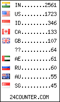 visitors by country counter