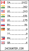 visitors by country counter