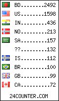 visitors by country counter