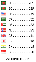 visitors by country counter