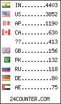 visitors by country counter