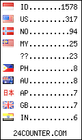 visitors by country counter