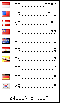 visitors by country counter