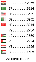 visitors by country counter