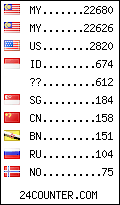 visitors by country counter