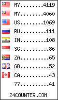 visitors by country counter
