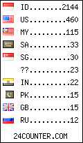 visitors by country counter