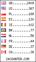 visitors by country counter