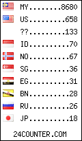 visitors by country counter